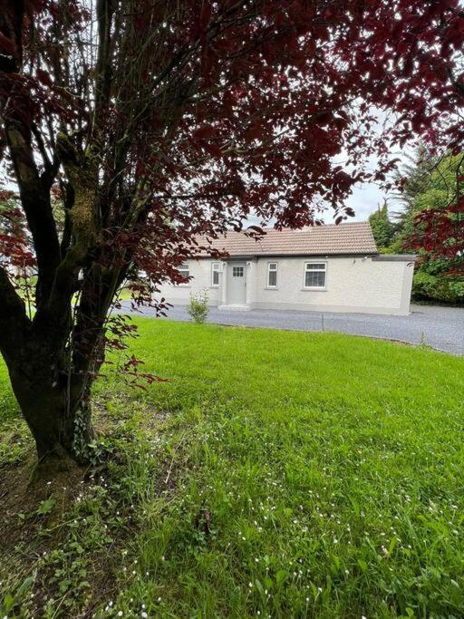 Ballybur Cottage キルケニー エクステリア 写真